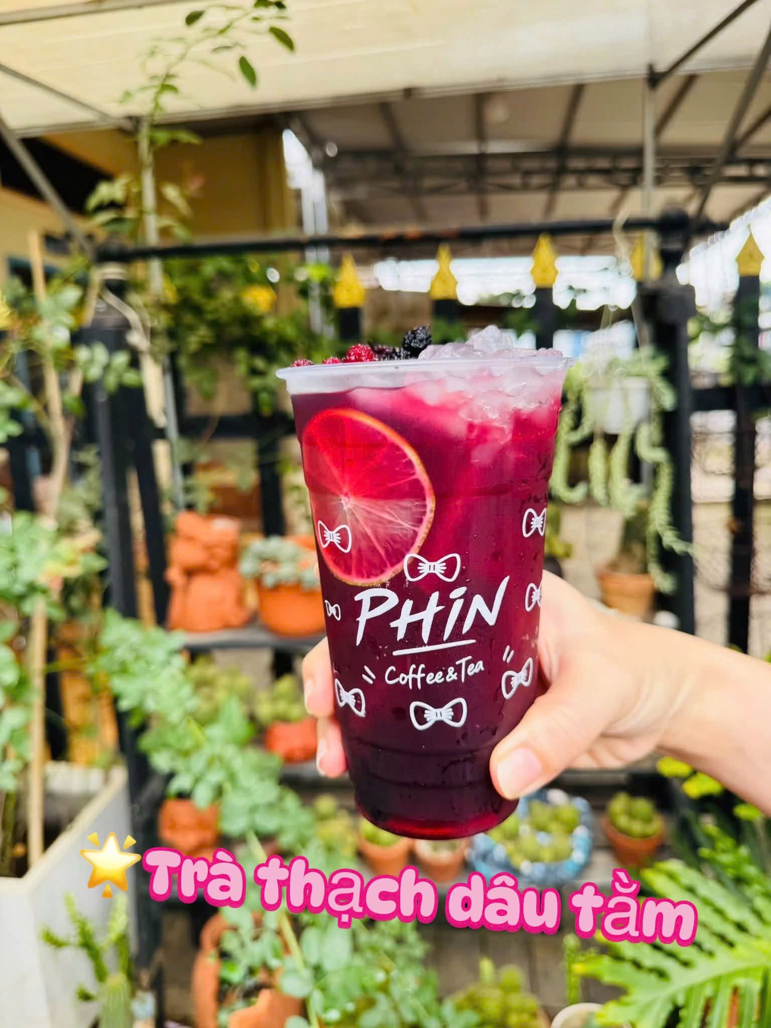 Trà thạch dâu tằm